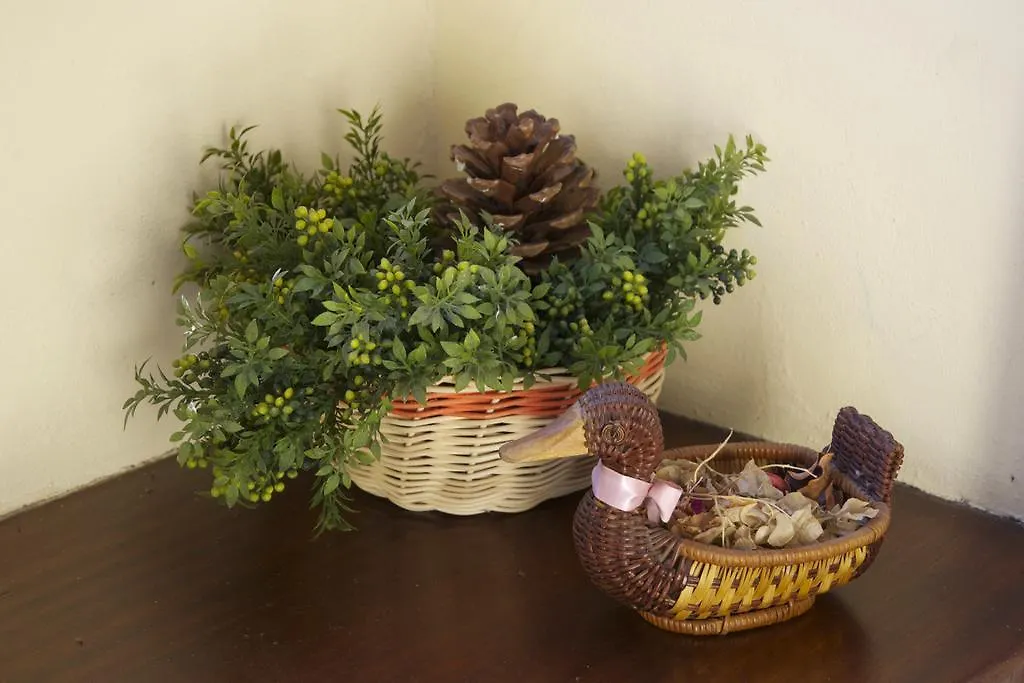 Casa Rural Olga El Paso Spain